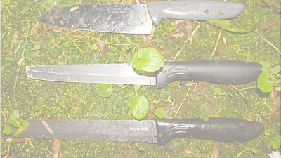 В Петербурге двое приезжих жестоко убили знакомую, нанеся ей 581 удар тремя ножами – дело передали в суд  