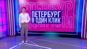 Петербург в один клик: медь, багрец и всполохи осени в парках, кот-лифтёр и суперлуние — о чём рассказывали жители Петербурга в своих соцсетях