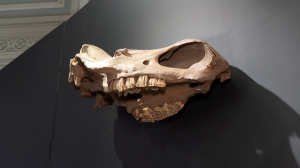 Путешествие на 12 000 лет назад