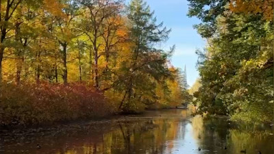 В ЦПКиО им. Кирова наступила золотая осень