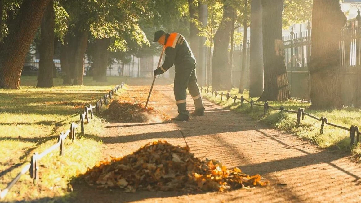 Уборка листьев, озеленение, подготовка к зиме: Как Петербург проведёт осенний месячник по благоустройству - tvspb.ru