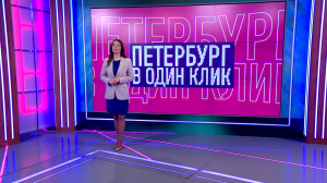 Петербург в один клик: тыква под парусом, когтеточка размером с лес, спасение синички и операция по вызволению брошенной черепахи — чем делились петербуржцы в соцсетях