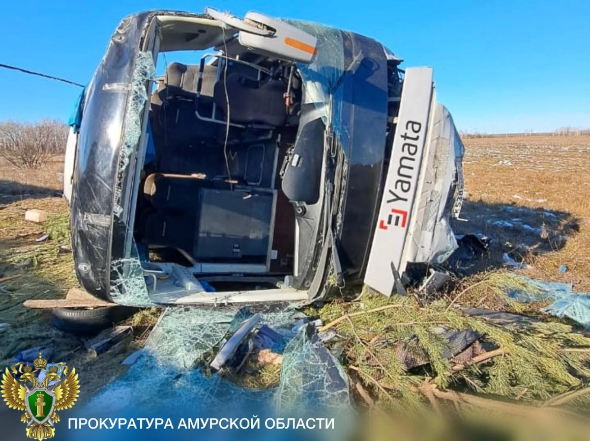 После ДТП в Амурской области госпитализировали 14 человек - tvspb.ru