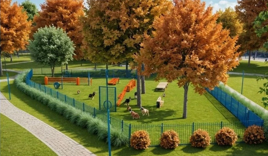 Александр Беглов поручил реконструировать площадку для выгула и дрессировки собак на проспекте Ветеранов - tvspb.ru