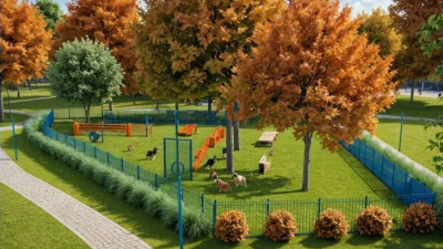 Александр Беглов поручил реконструировать площадку для выгула и дрессировки собак на проспекте Ветеранов