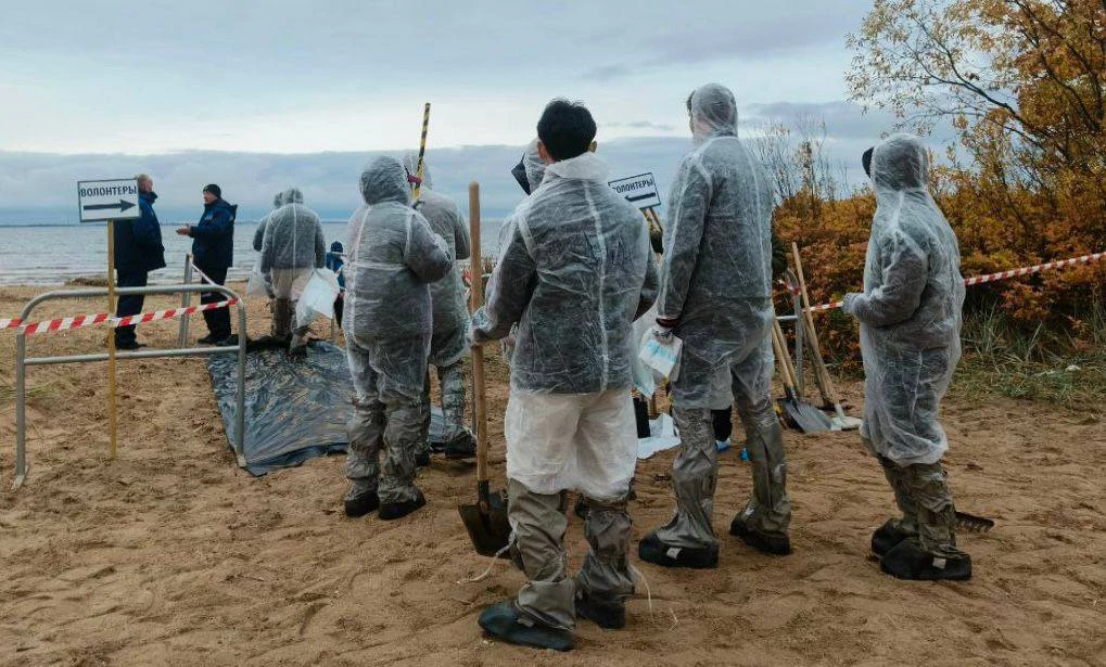 В Петербурге экологических волонтёров подготовили к работе при нефтеразливах - tvspb.ru