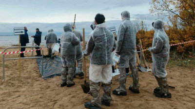 В Петербурге экологических волонтёров подготовили к работе при нефтеразливах