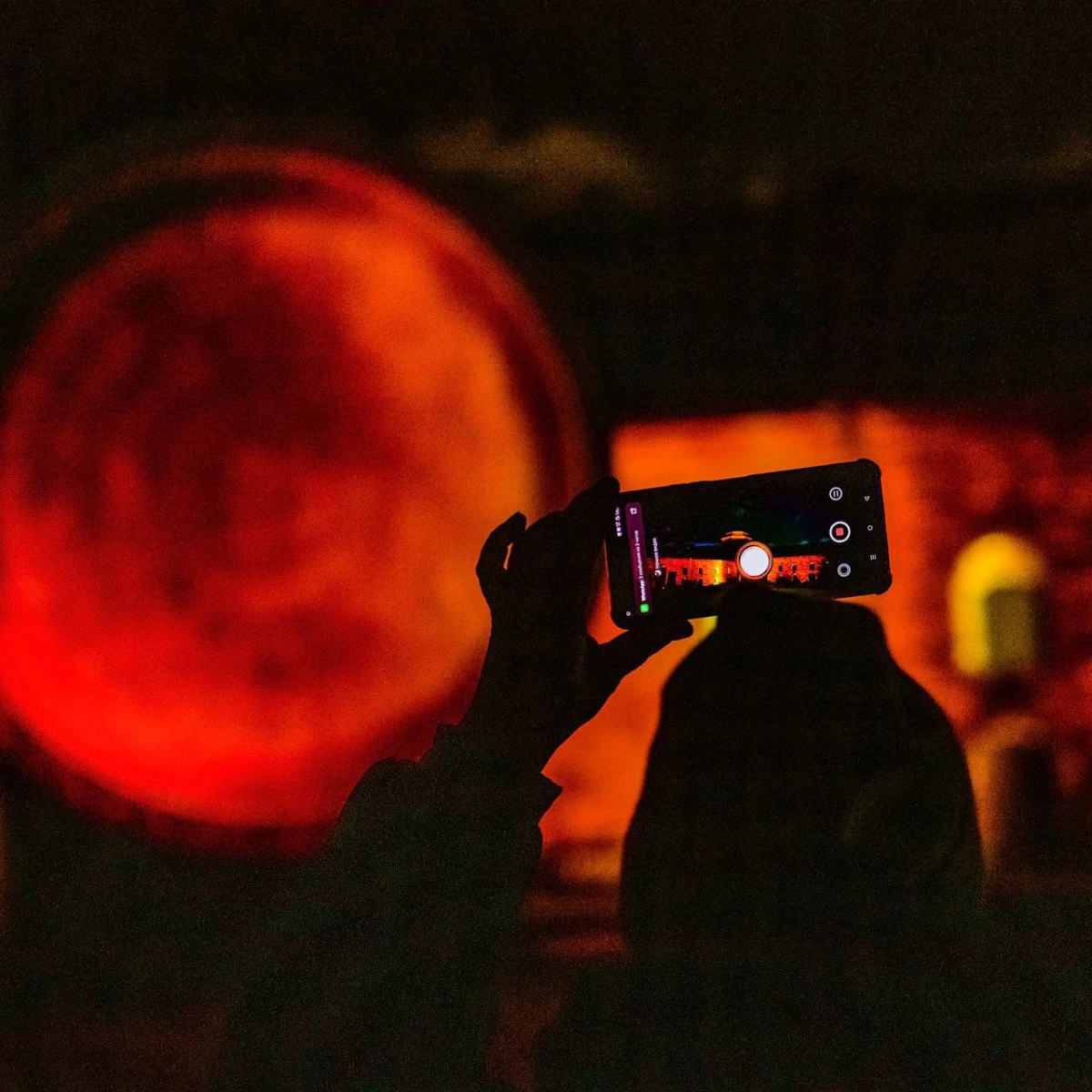 Световое шоу «Чудо света» превратит Петропавловскую крепость в арт-объект - tvspb.ru