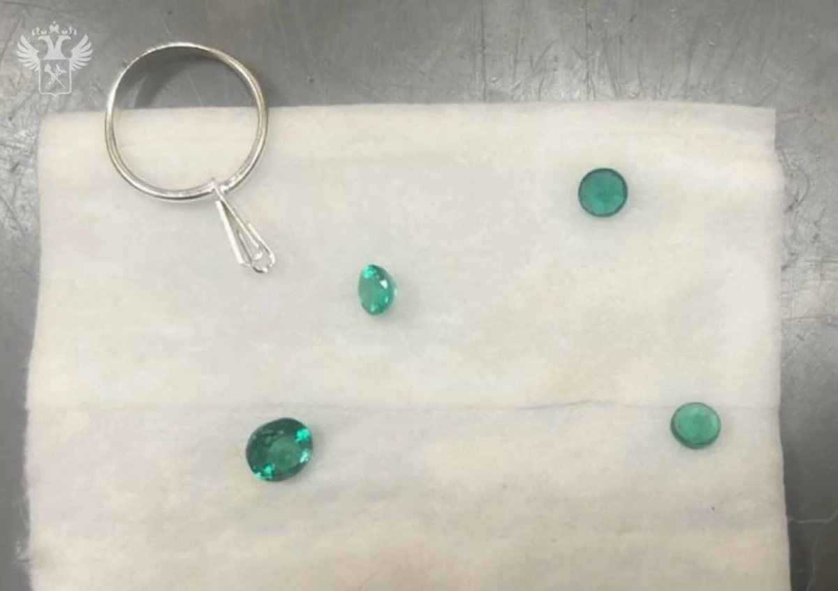 Контрабанду драгоценных камней на 15 млн рублей пресекли домодедовские таможенники - tvspb.ru