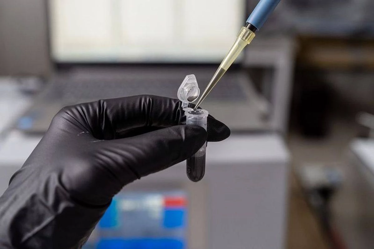 Ученные «Росатома» разработали уникальный сплав для сверхмощных энергоблоков - tvspb.ru