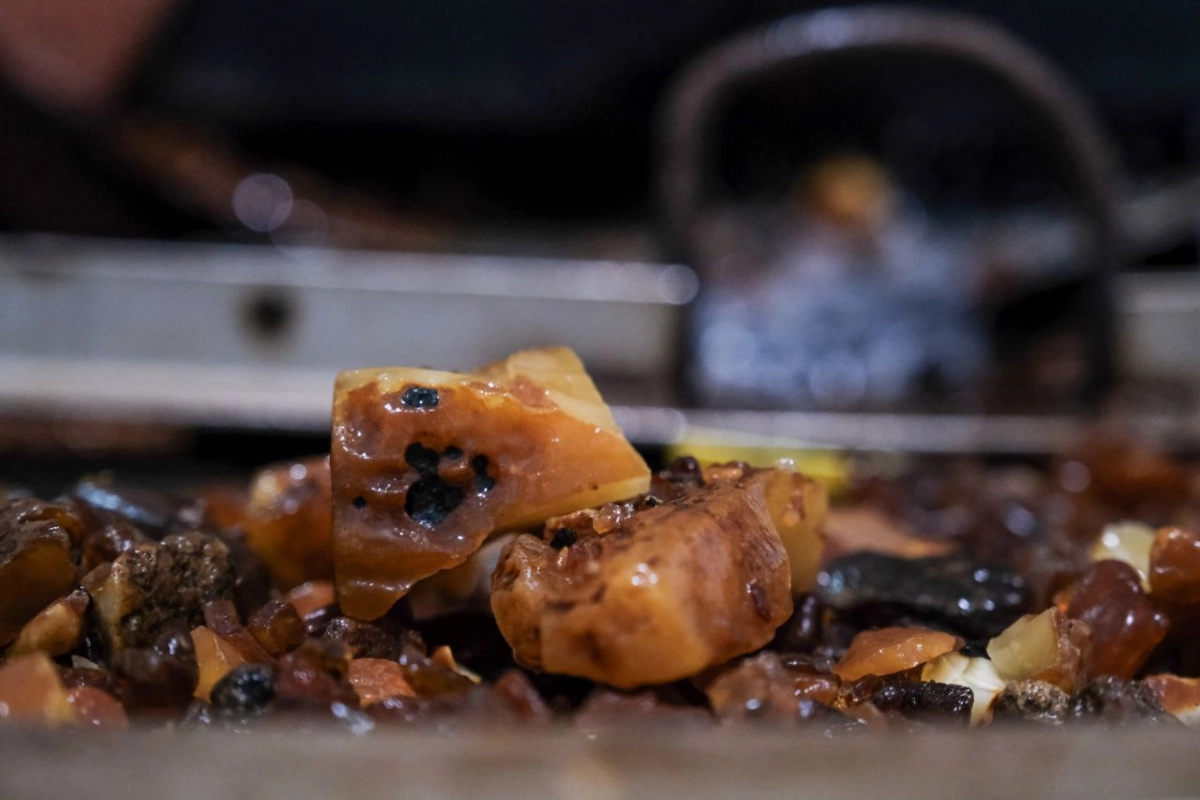 Под Калининградом нашли янтарь-рекордсмен - tvspb.ru