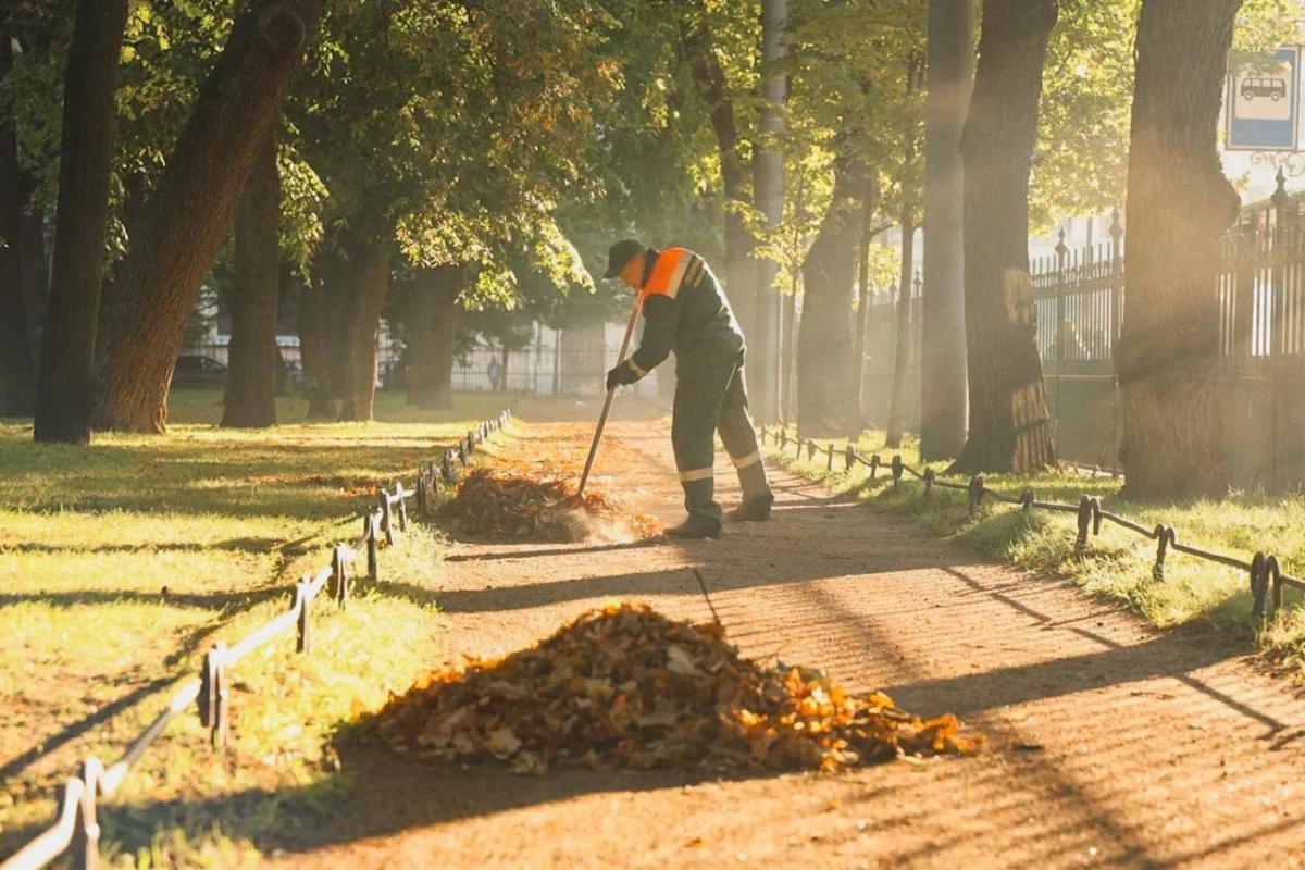 Петербург выделит на уборку города 54 млрд рублей на три года - tvspb.ru