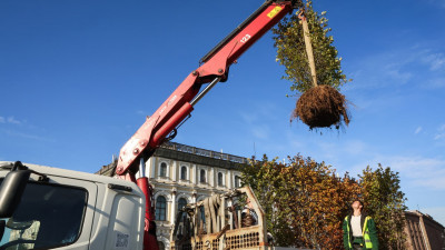 Растения из сада-трансформера на Исаакиевской площади переезжают в скверы Пушкина