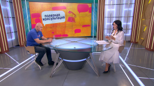 Как городская среда становится ловушкой для животных с наступлением холодов и как предостеречь их от опасности. Консультация специалиста