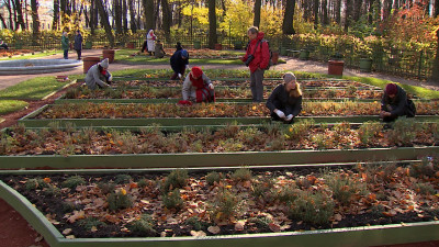 Цветы будущей весны: на площади Растрелли высаживают тюльпаны