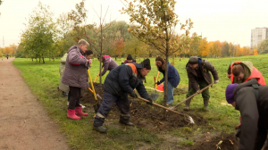 Посади дерево: жители Красногвардейского района заложили дубовую аллею в парке Малиновка