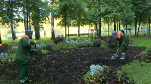 В Петербурге стартовал месячник по благоустройству