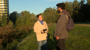 Птиц по осени считают