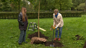 Благоустройство в Приморском парке Победы