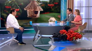 Как осенью позаботиться о птицах в городе?