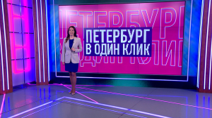 Петербург в один клик: тыква под парусом, когтеточка размером с лес, спасение синички и операция по вызволению брошенной черепахи — чем делились петербуржцы в соцсетях