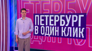 Петербург в один клик. Чудо-грибы на Васильевском острове и в Комарово, зимний спа-отель для птиц в Петергофе и массовый заплыв на сапах по каналам Елагина острова