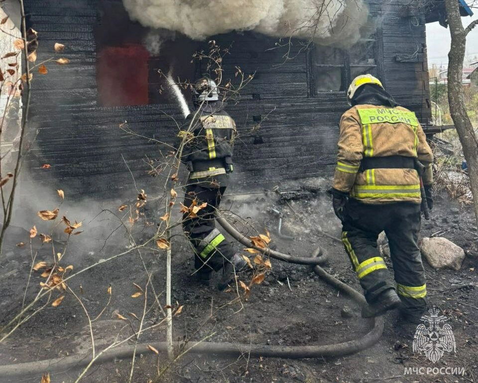 Пострадавших нет: во Всеволожском районе в садоводстве сгорел дом - tvspb.ru