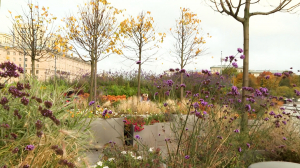 Большой зелёный переезд: сад-трансформер с Московской площади отправляется на «зимние квартиры»