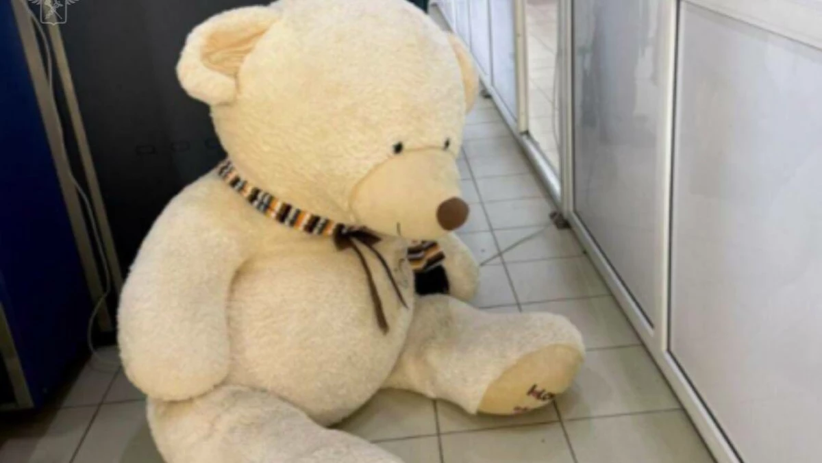 Таможенники обнаружили плюшевого медведя с сигаретной начинкой - tvspb.ru