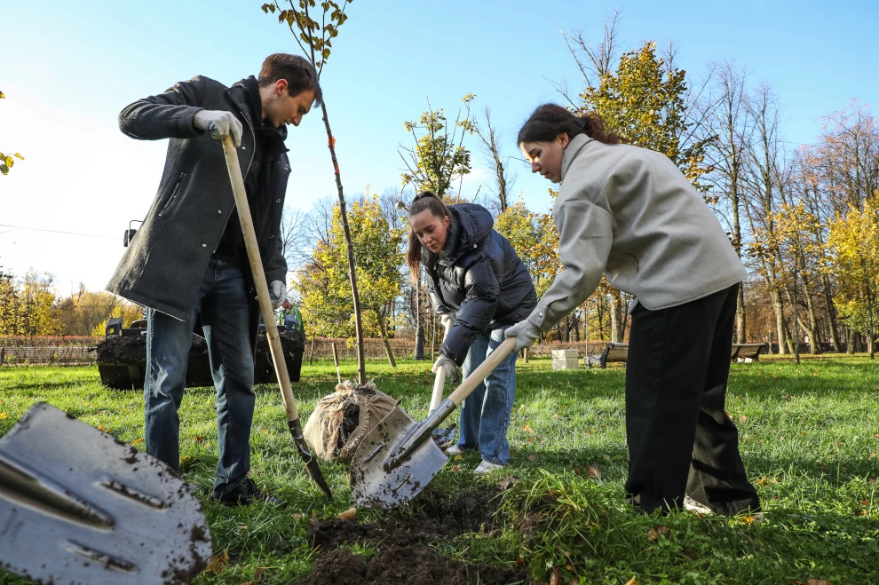 Александр Беглов пригласил петербуржцев 25 октября принять участие в Дне благоустройства и «Добром субботнике» - tvspb.ru