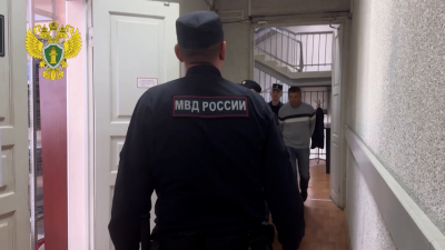 Еще троих подозреваемых отправили в СИЗО по делу о смертельном суррогате в Ленобласти