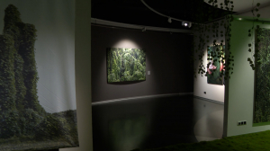 Природа — это место силы: островок Аргентины в Музее «Эрарта»