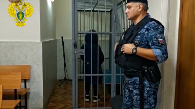 Жительницу Ленобласти, обвиняемую в заказе убийства мужа, отправили в СИЗО