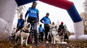 Вдвоём веселее. Каникросс — забег с любимым питомцем