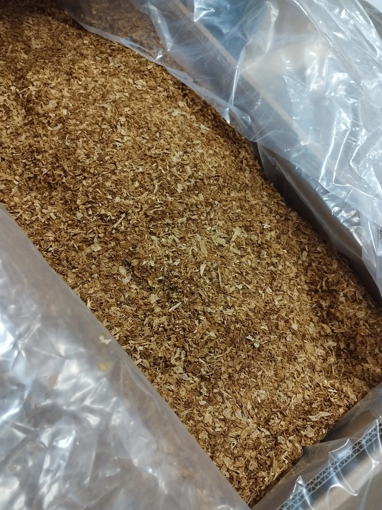 Вместе с табаком из Бразилии в порт Петербурга прилетела муха-горбатка - tvspb.ru