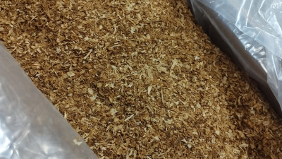 Вместе с табаком из Бразилии в порт Петербурга прилетела муха-горбатка