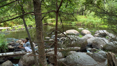 В Петербурге создадут новую заповедную территорию — заказник «Тарховский»
