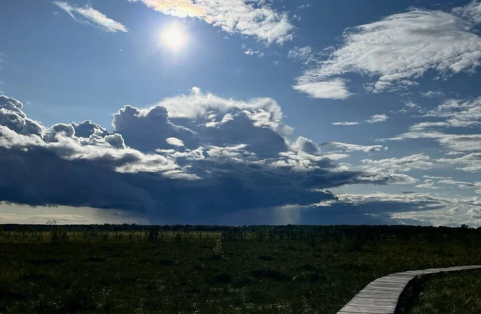 Российские ученые: банковские кризисы портят экологическую ситуацию - tvspb.ru