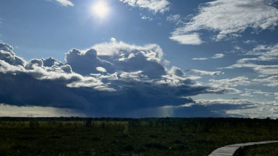 Российские ученые: банковские кризисы портят экологическую ситуацию