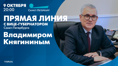 Прямая линия с вице-губернатором Санкт-Петербурга Владимиром Княгининым