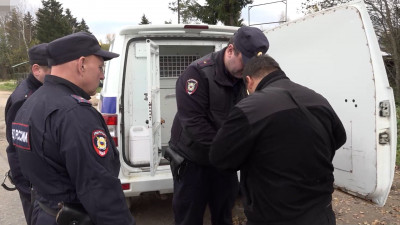 Масштабный миграционный рейд: в Гатчинском и Лужском районах Ленобласти выявлены десятки нелегалов