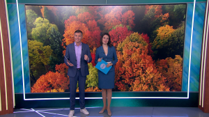 Утро в Петербурге 2 октября