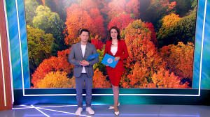 Утро в Петербурге 8 октября