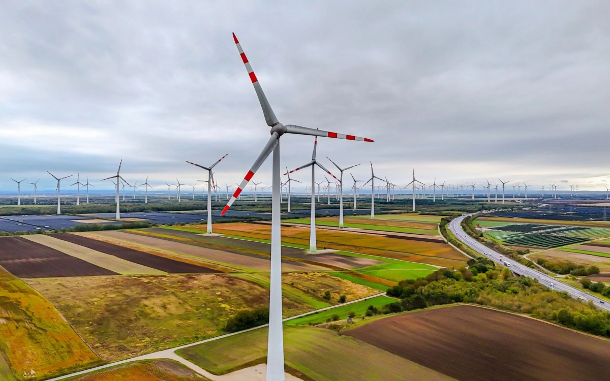 Предприятия Санкт-Петербурга стимулируют к экологичной деятельности через «зеленые» инициативы - tvspb.ru