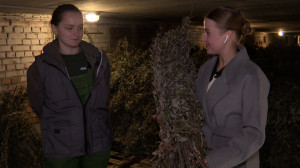 Что сложили в закрома: Ленинградский зоопарк показал как хранят запасы кормов для своих обитателей на зиму