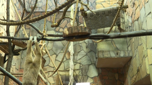 Гамаки из пожарных рукавов