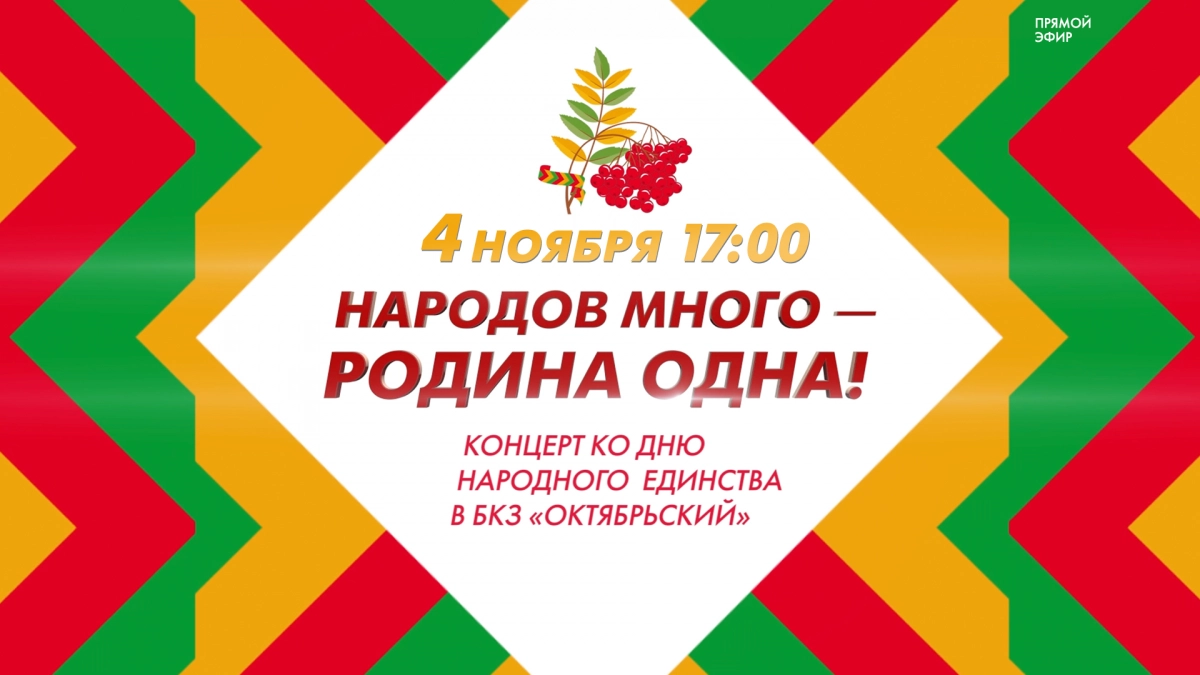 Смотрите завтра в 17:00 прямую трансляцию концерта «Народов много – Родина одна» - tvspb.ru