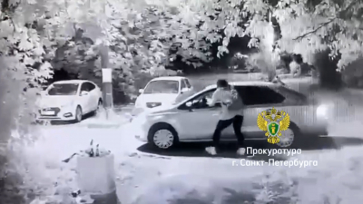 В Петербурге будут судить мужчину, укравшего телефон у прохожей