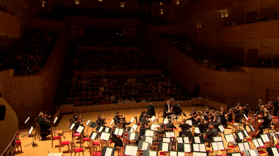 XXV фестиваль «Международная неделя консерваторий» завершился сербско-российским концертом