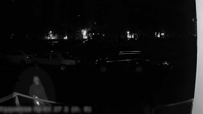 Конфликт из-за кошек: жители дома на проспекте Ударников рассказали о животных, погибших от рук соседки